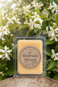 Brooksville Blossom Melt
