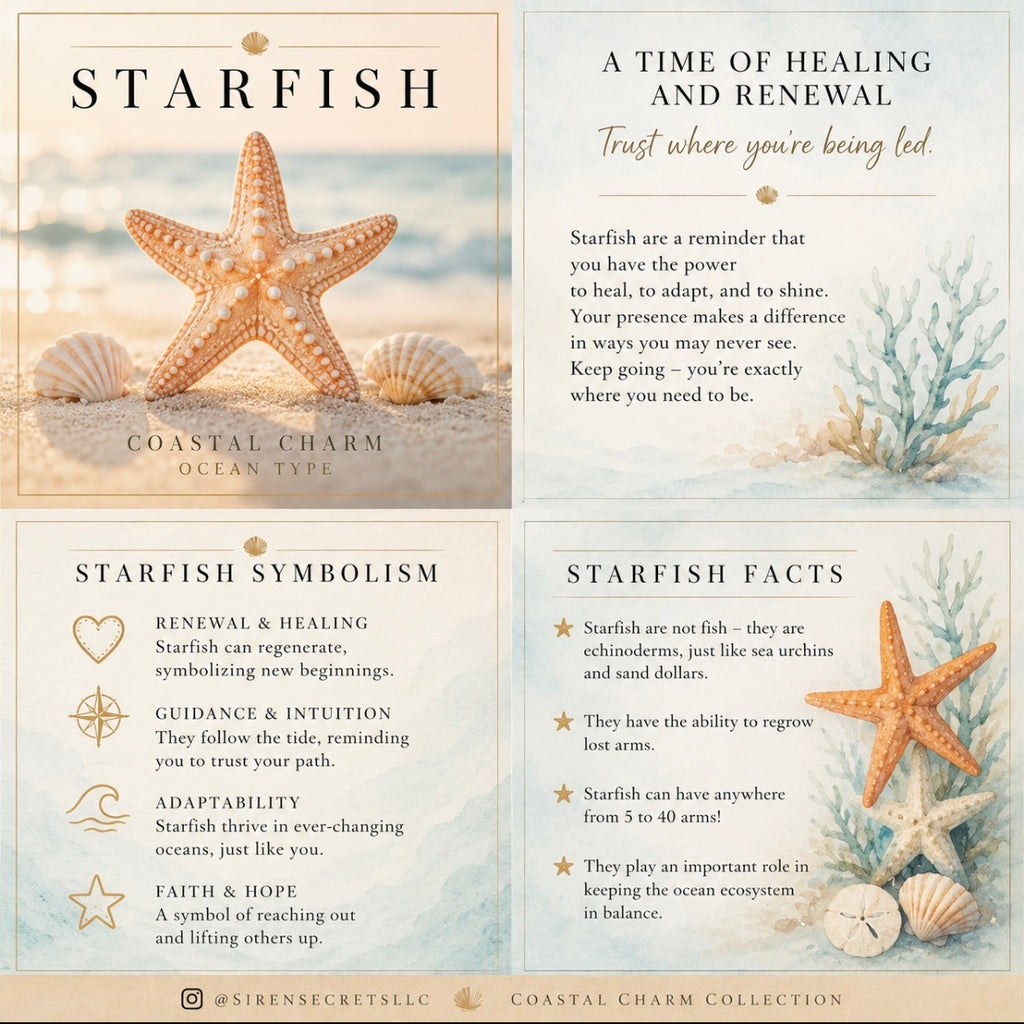 Coastal Charm Soy Candle