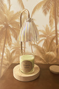 Pistachio Palms Wickless Candle