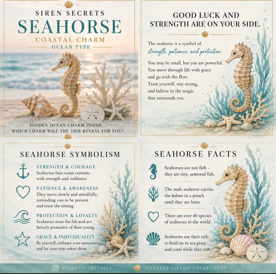 Coastal Charm Soy Candle