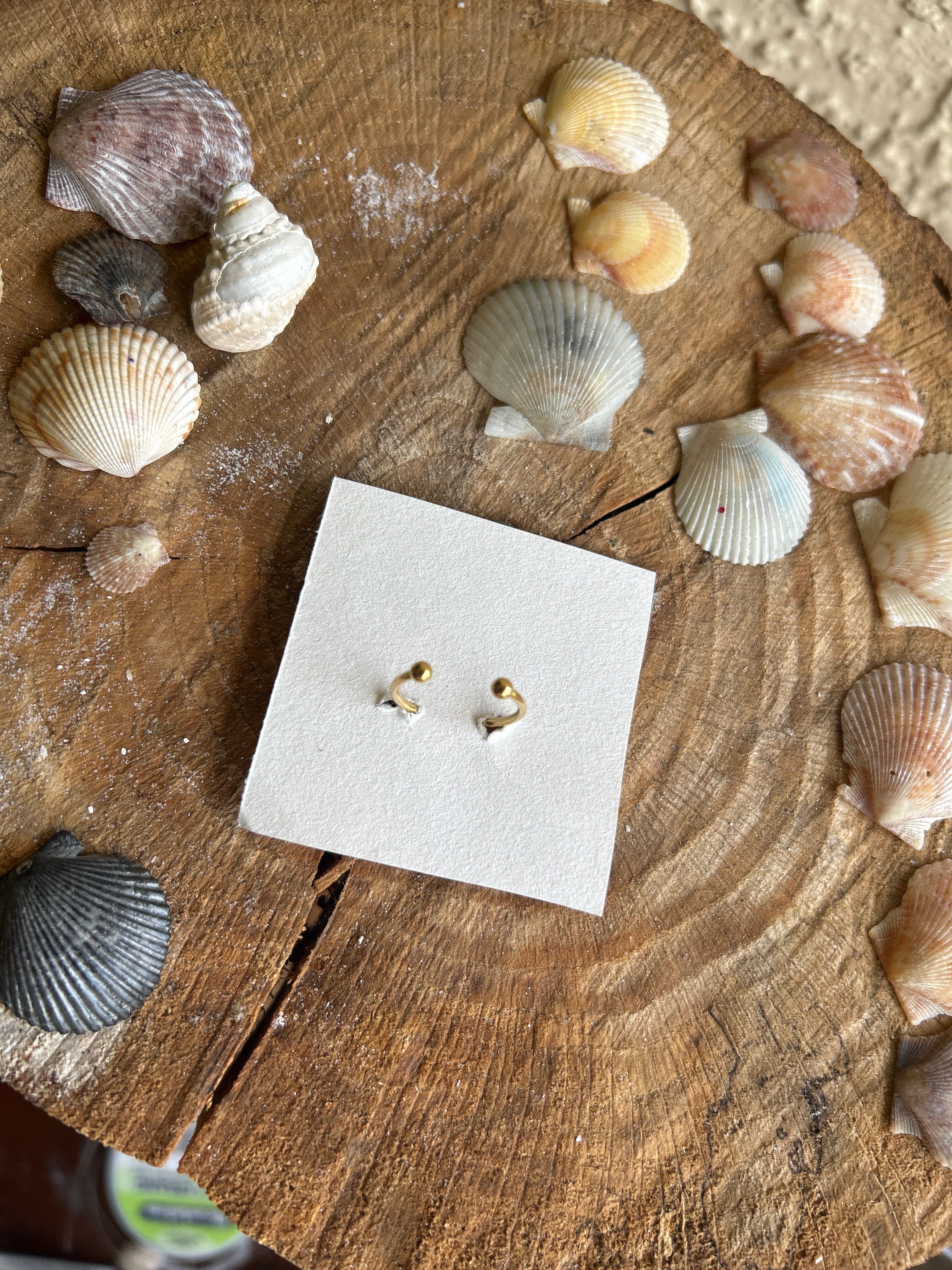 Scallop Rings