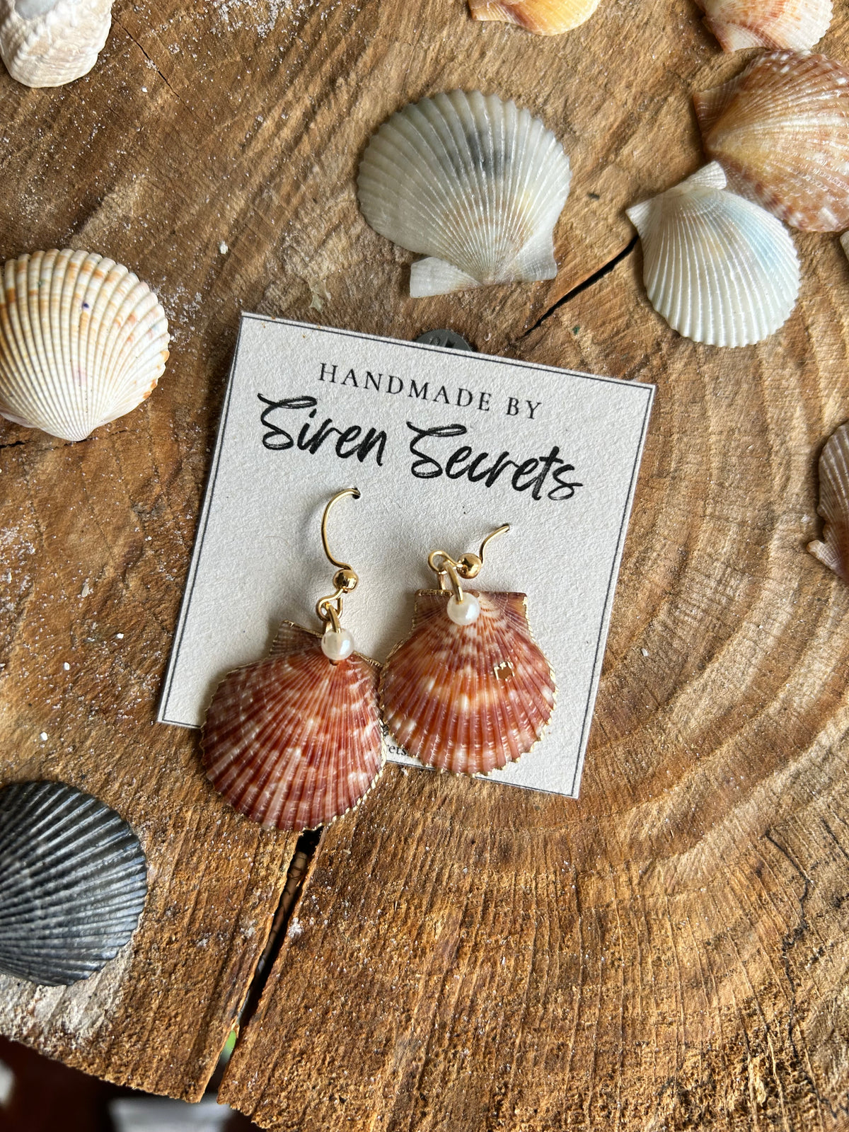 Scallop Earrings