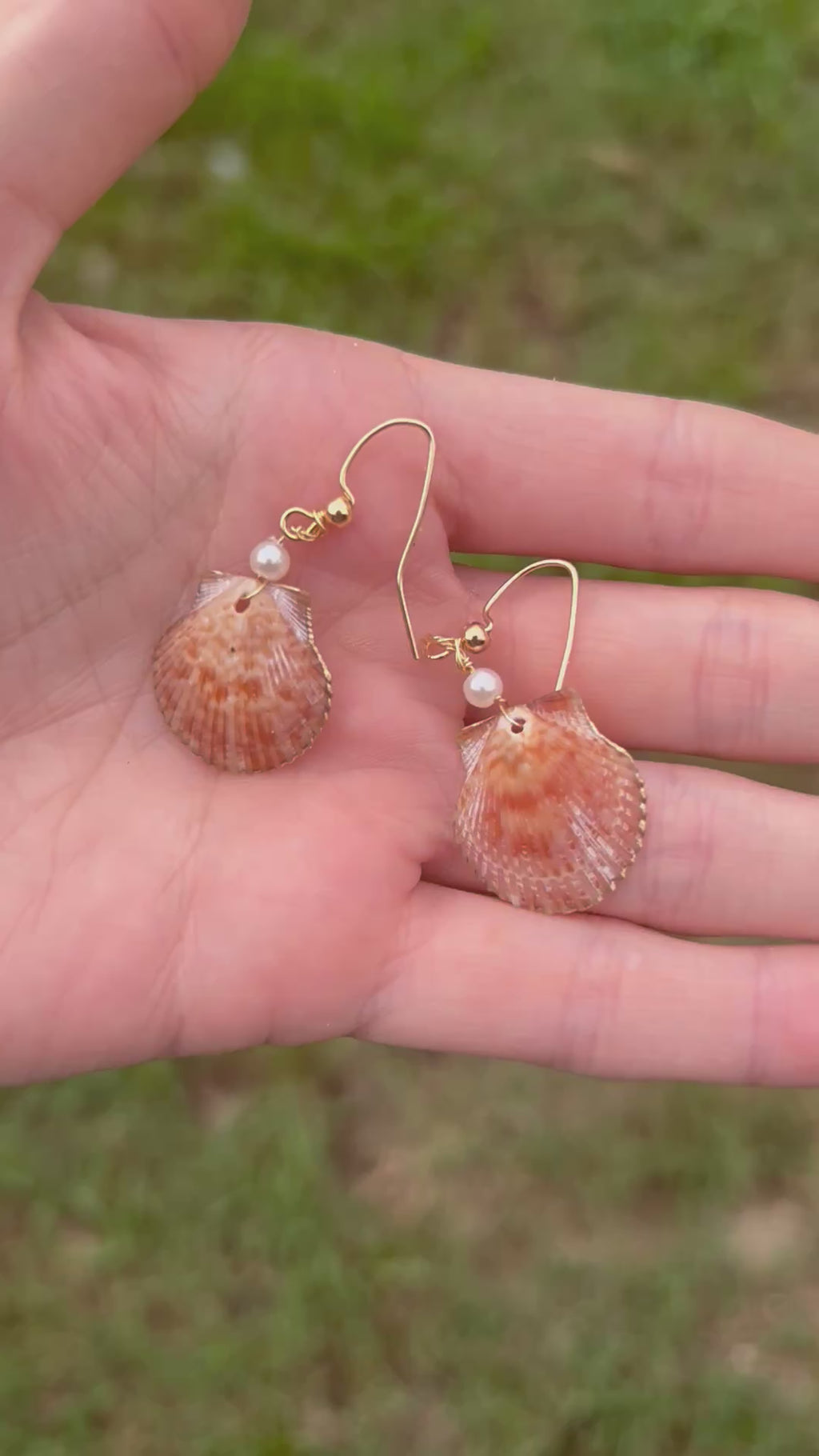 Scallop Earrings