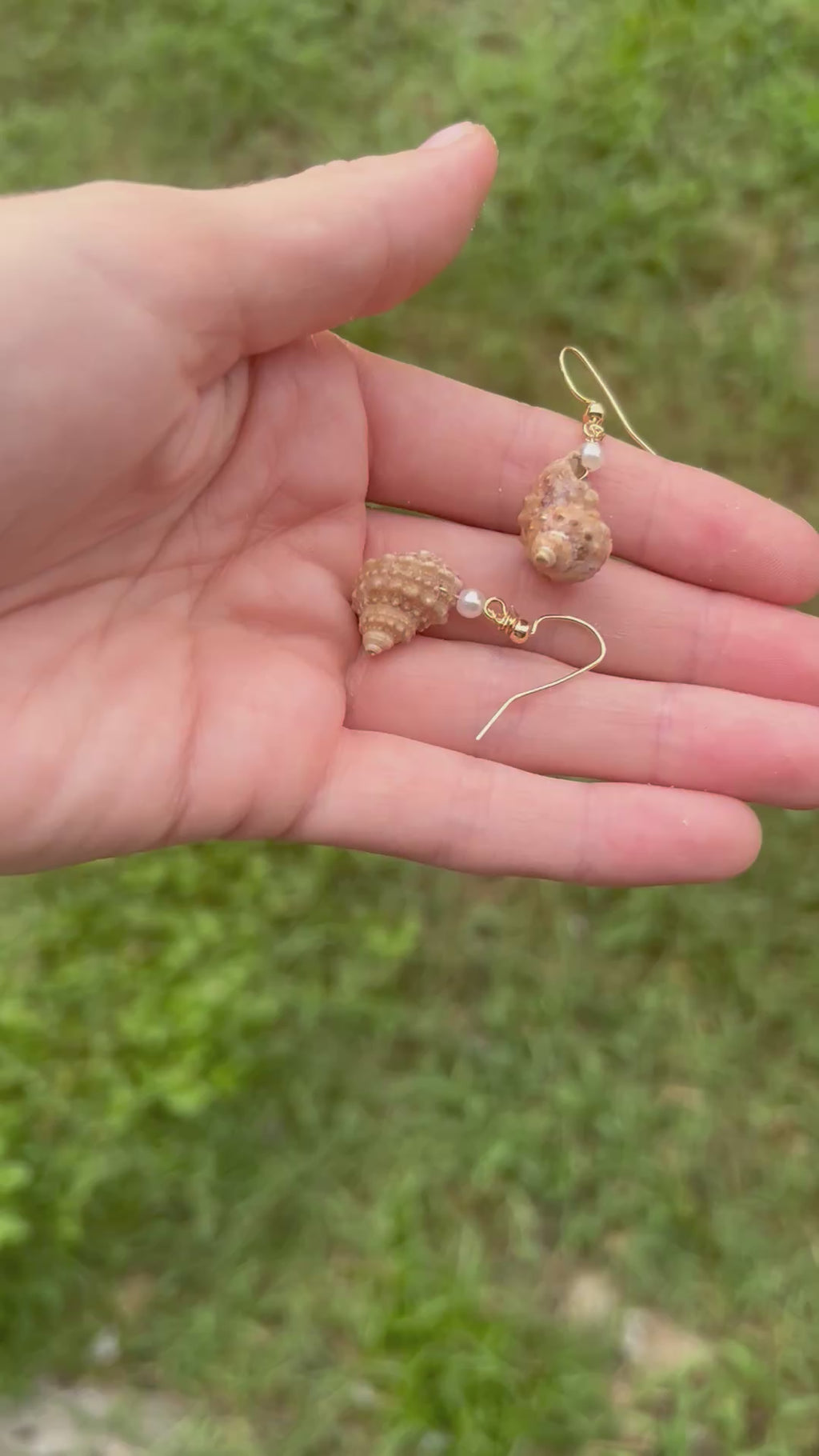 Turban Shell Earrings