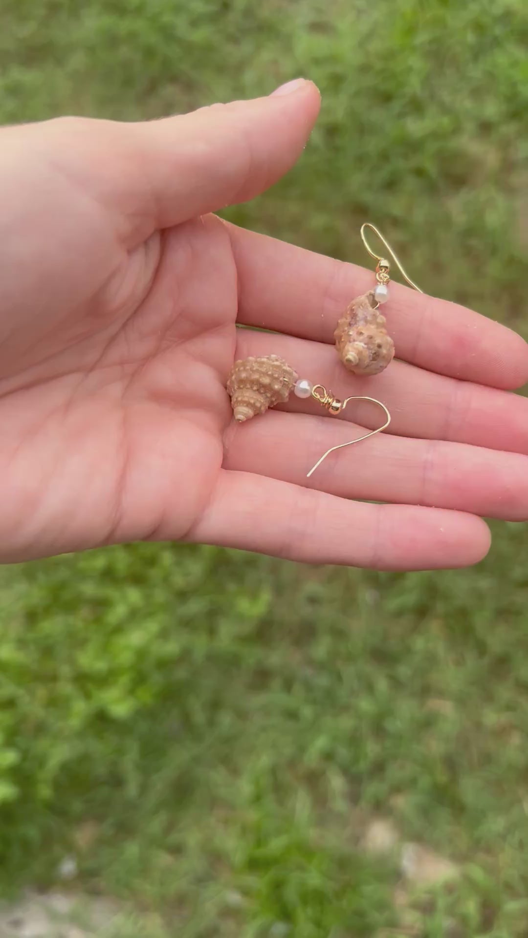 Turban Shell Earrings